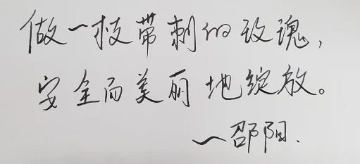 杨花落尽子规啼小说全文免费阅读心怀希望勇敢追梦生活总会有美好相伴