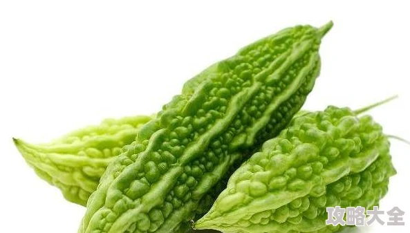 1314苦瓜网最新资源持续更新每日稳定上新精彩不断