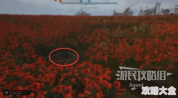 潜行者2突破死亡循环：全新罂粟田任务攻略与生存技巧详解