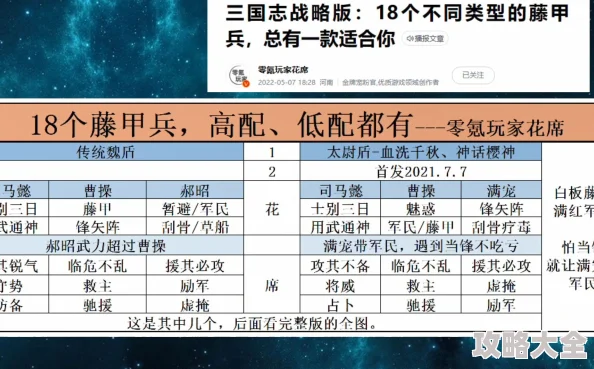 三国志战略版2024新攻略：高效藤甲兵阵容搭配推荐与战术解析