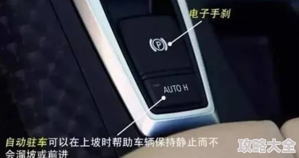 艾尔法登环Y键功能详解：新手指南与高效操作攻略解析
