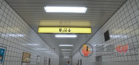 全新攻略揭秘：8号站台无害异常全解析，快速定位8个隐藏点位